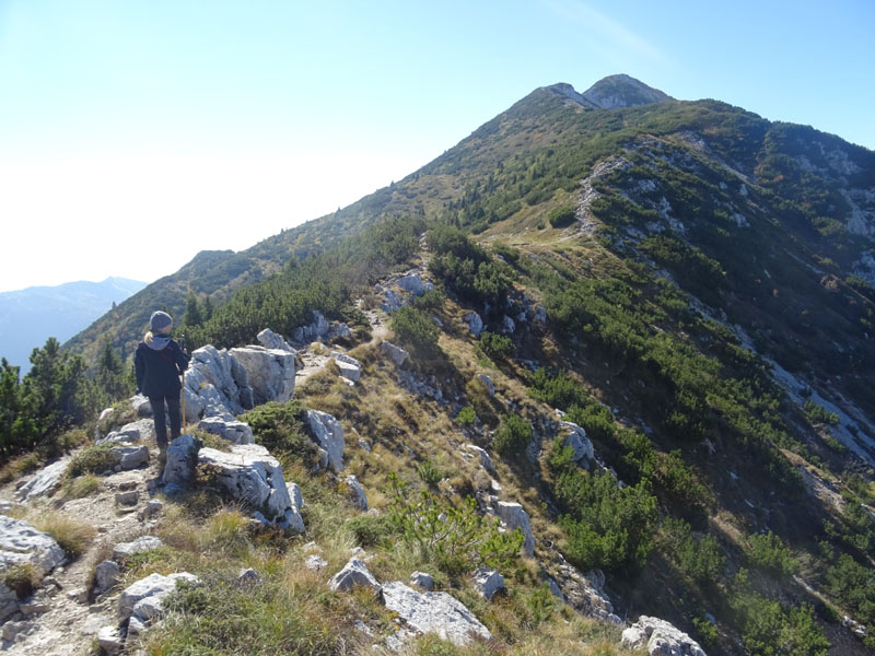 Cima delle Pozzette  m.2132 - Gruppo del Monte Baldo (VR)